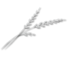 Picture6.png